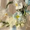 Cloudlight Charm: Elegant Blue Tulip & Orchid Arrangement
