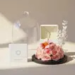 Signature Key Pendant with Enchanted Rose & Tulip Dome Gift Set