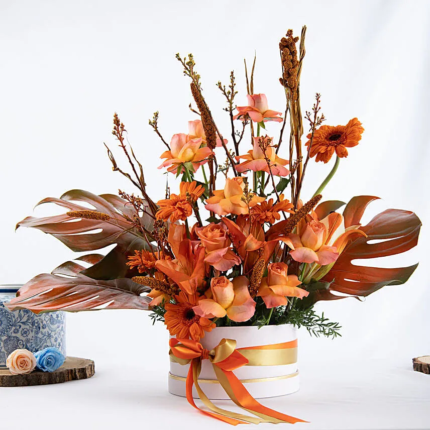 Shades of Orange