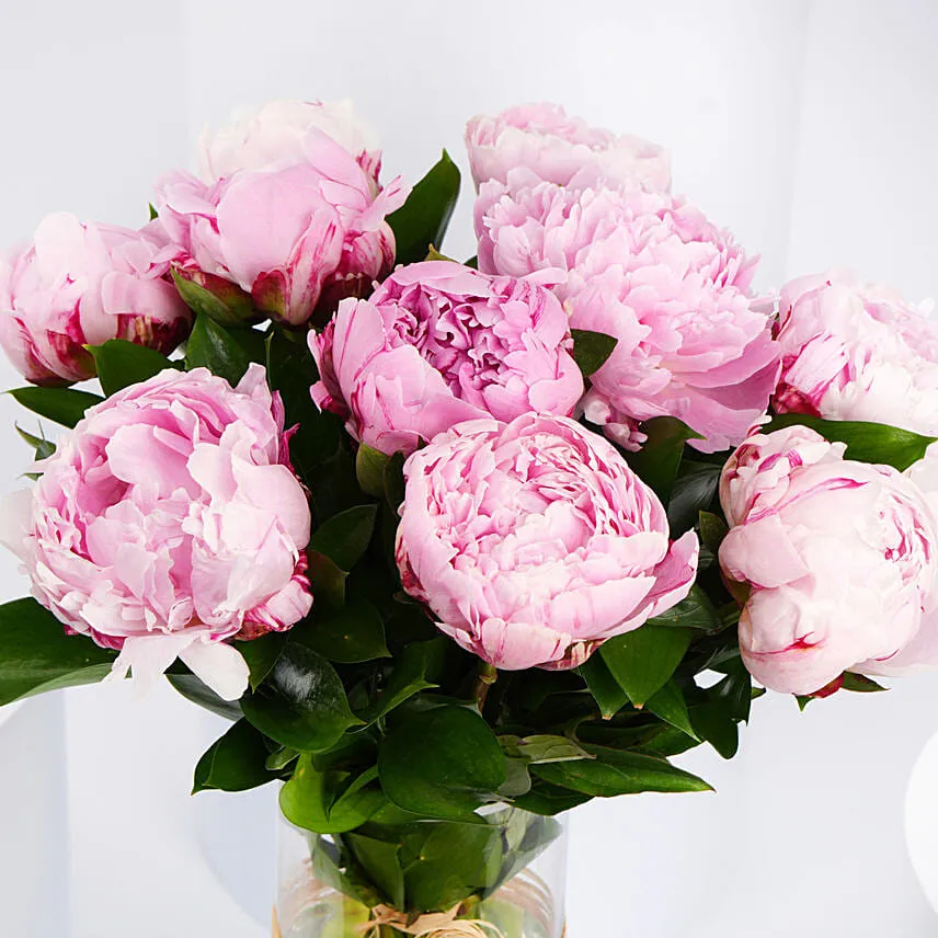 Elegant Pink Beauty