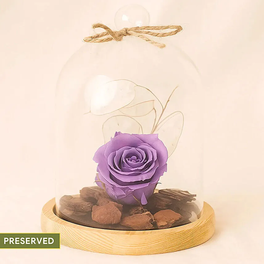 Purple Forever Rose In Glass Dome