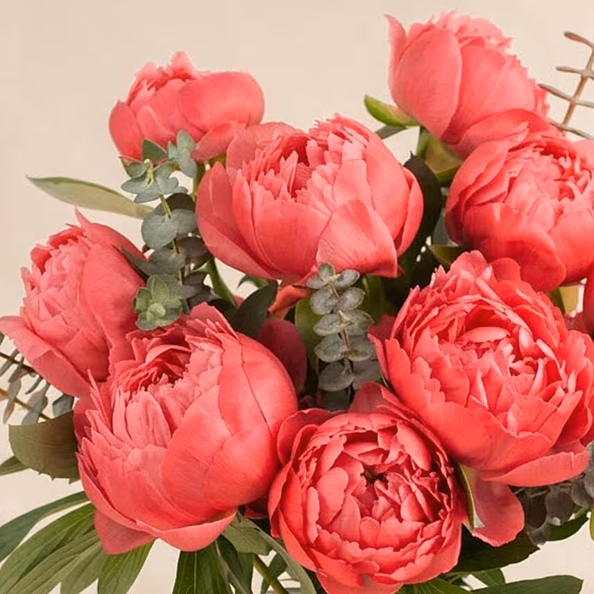 Perfect Pink Peonies