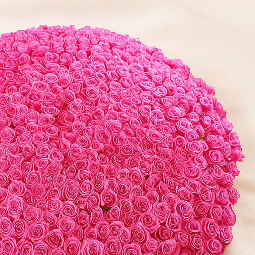 500 Dark Pink Roses Arrangement