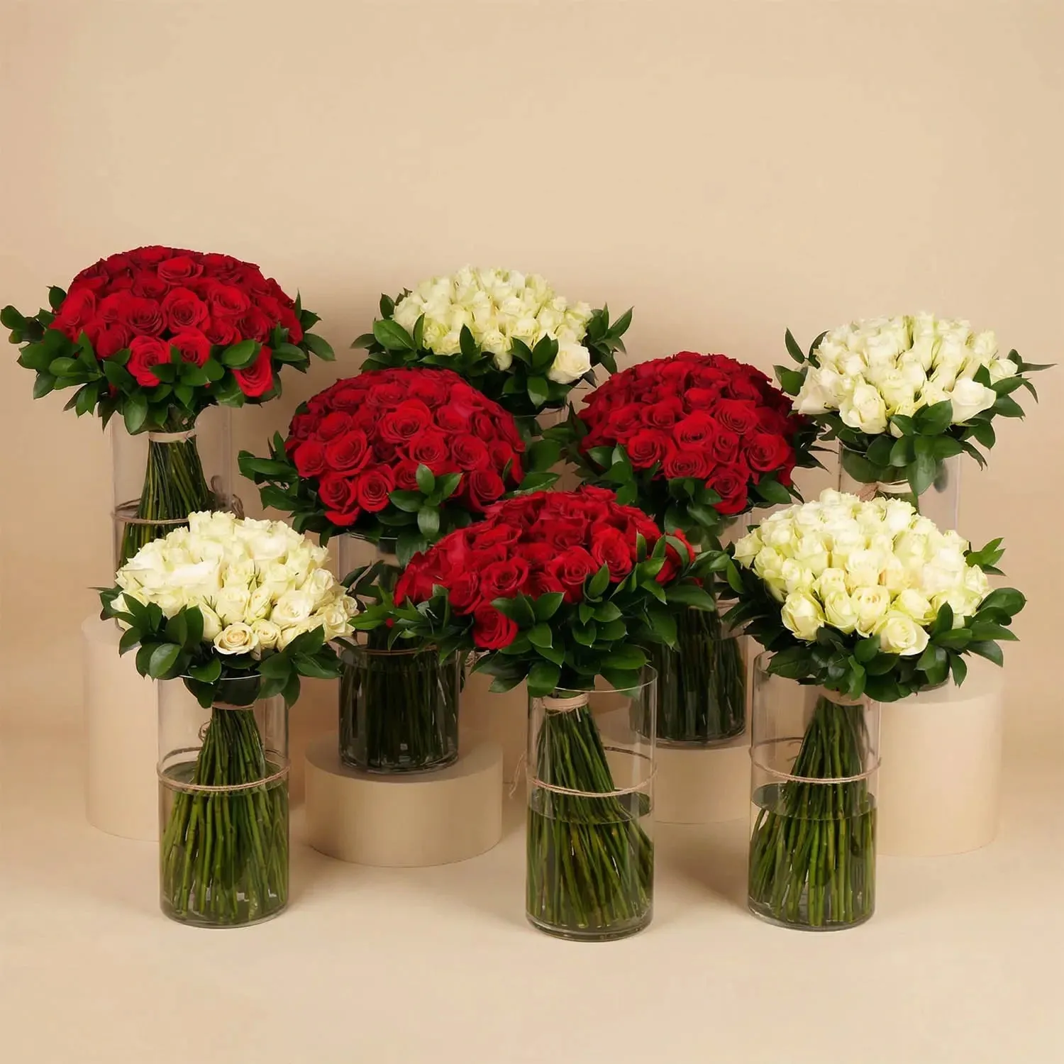 Elegant Red & White Rose Collection in Glass Vases