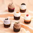 Sumptuous Treat: Assorted Gourmet Cupcakes – 6 Pieces