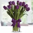 Purple Tulip Arrangement