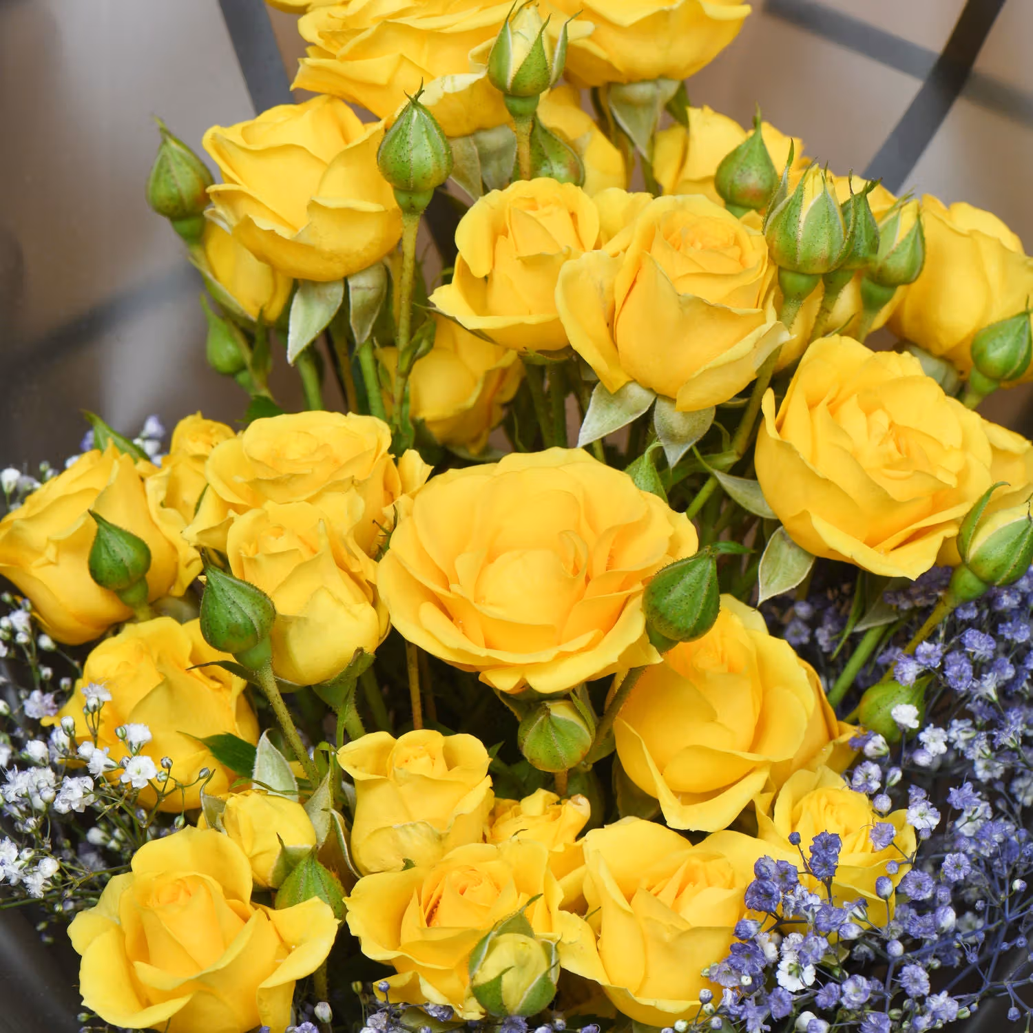 Golden Twilight Roses & Chocolate Cake Delight Gift Set