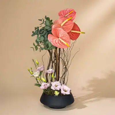 Elegant Blush Anthurium Bouquet for Mom