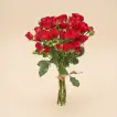 Vibrant Red Baby Rose Stems - Set of 10