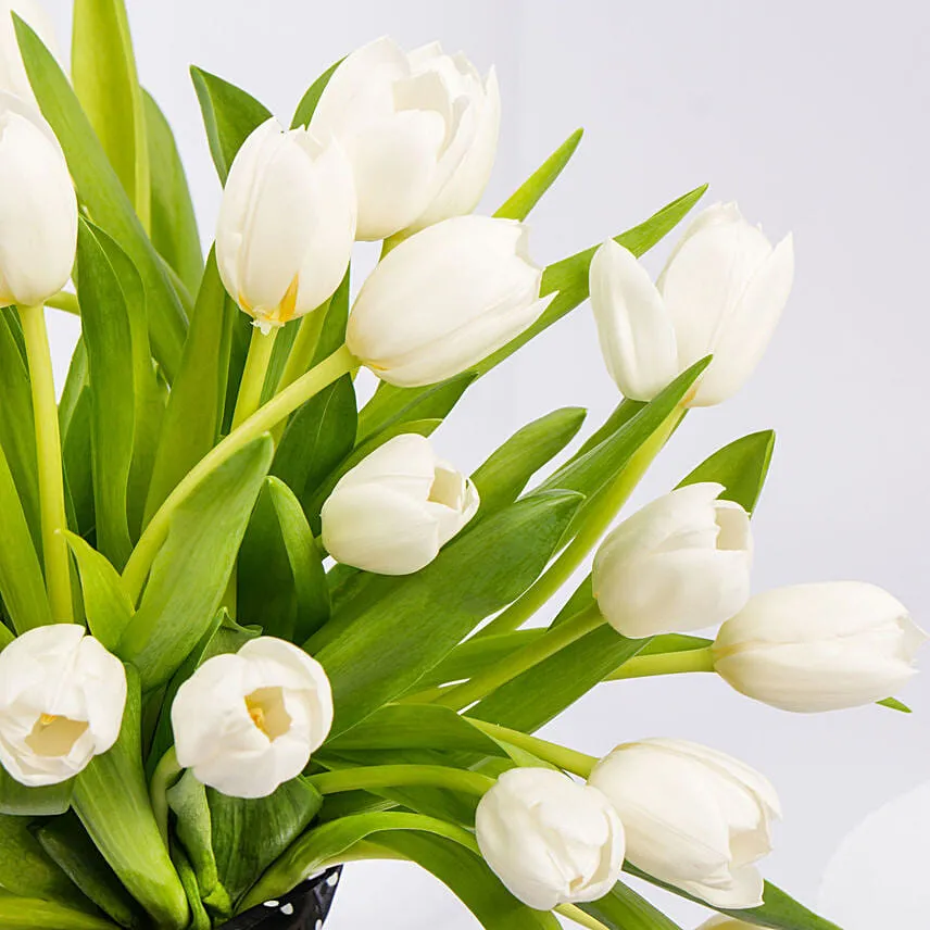 White Tulips in Designer Vase