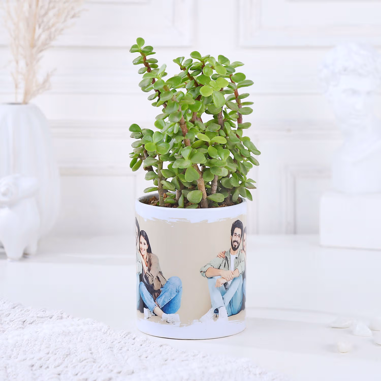 Sentimental Jade With Mug Arrangement