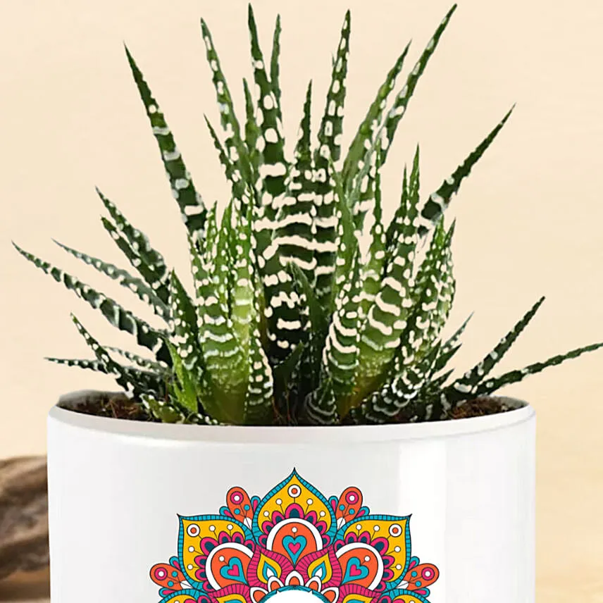 Personlized Haworthia Plant
