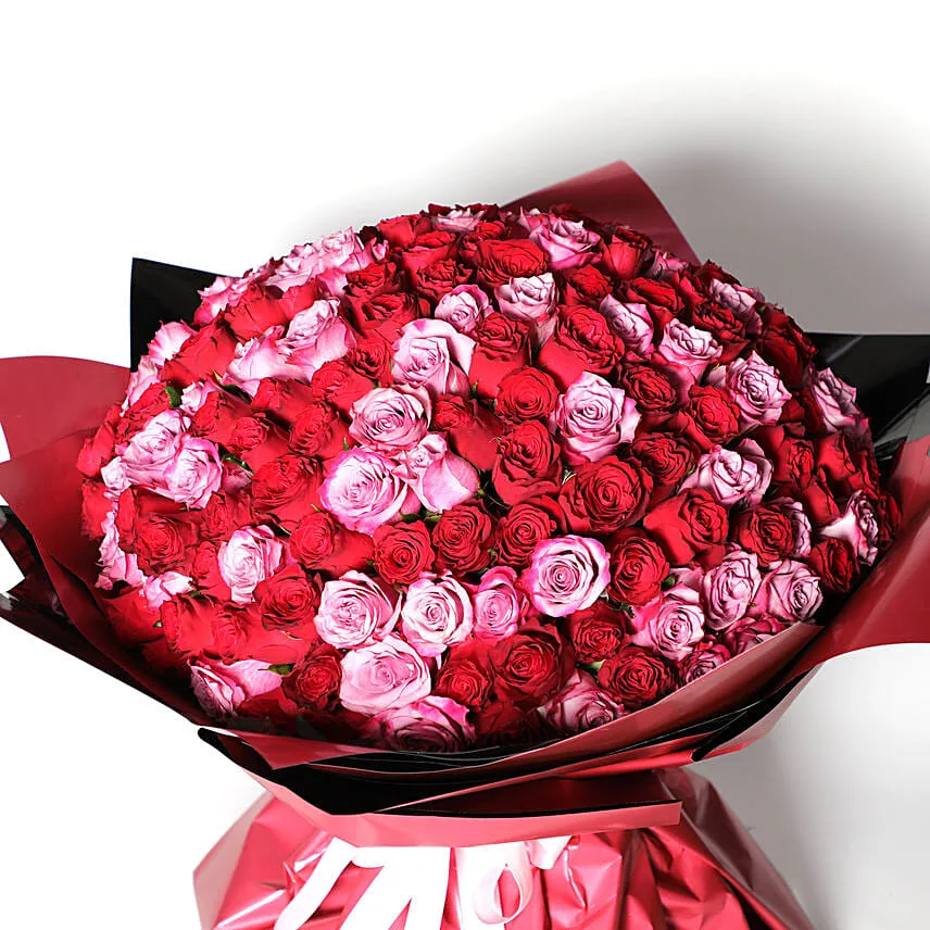 Teddy and 200 Roses Special Bouquet