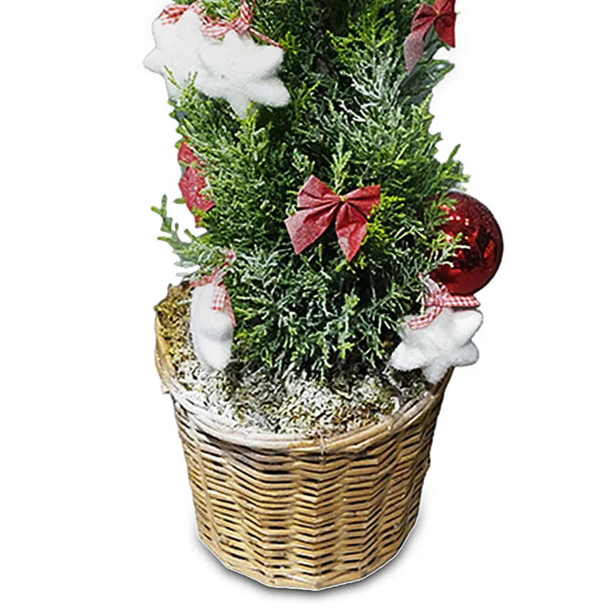 Your X Mas Tree