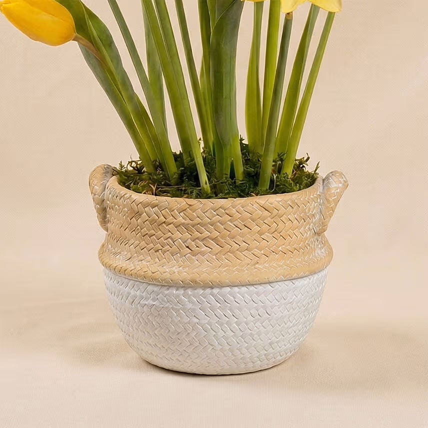 Daffodils and Tulip Flower Pot