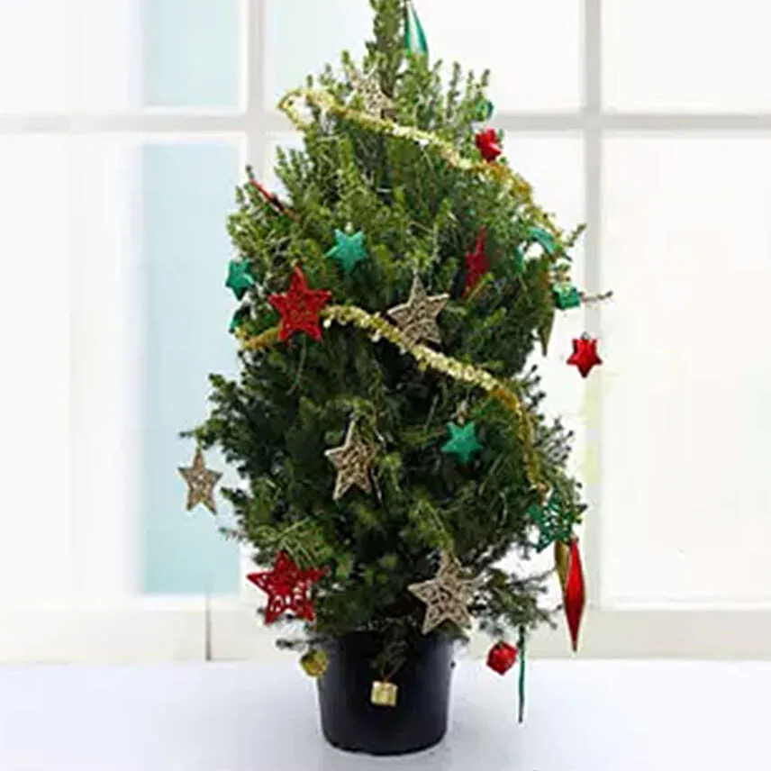 Christmas Tree