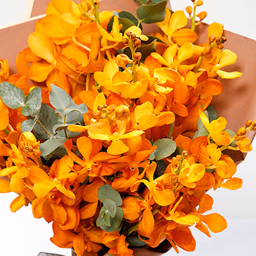10 Orange Mokara Orchids Bunch