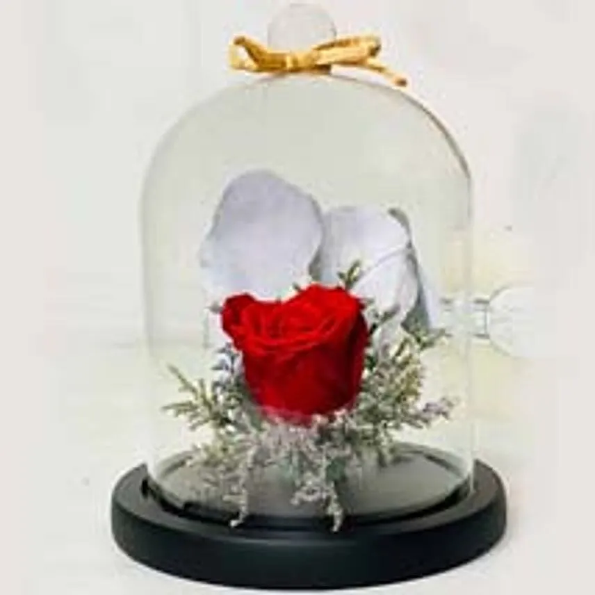 Beautiful Single Red Forever Rose In Glass Dome