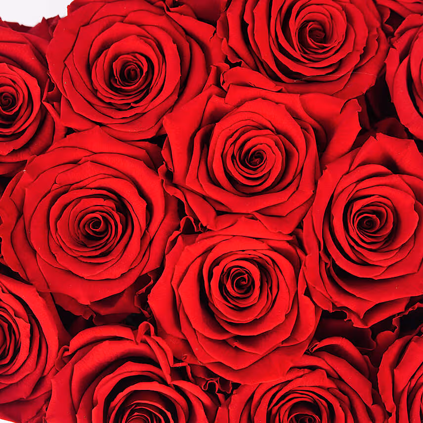 Roses In a Heart Shaped Box
