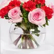 Elegant Love Arrangement: Pink Roses & Red Carnations in Fish Bowl