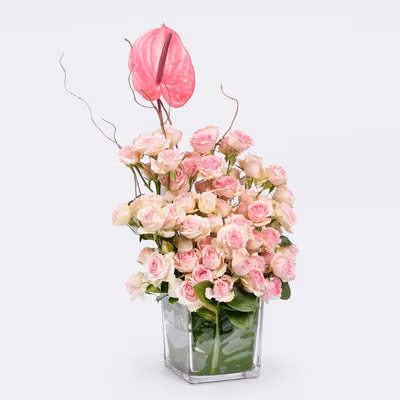 Exquisite Tender Love Roses Arrangement - Arrangement