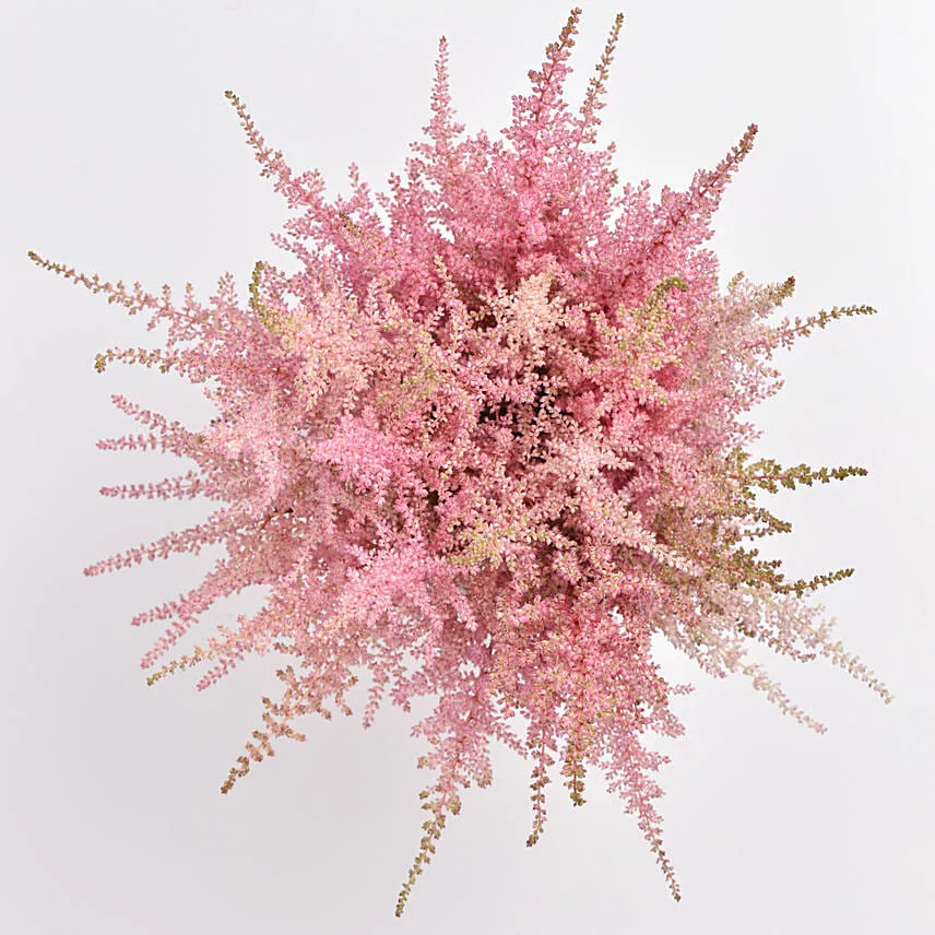 Pink Astilbe Vase Arrangement