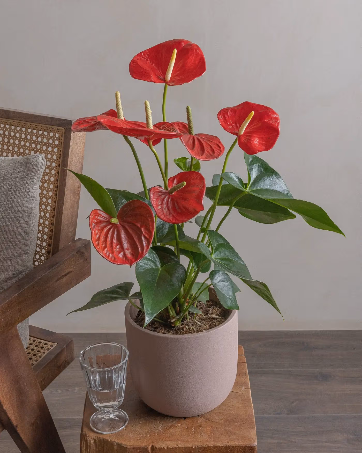 Varient Advanced - Test Product - Nursery / White