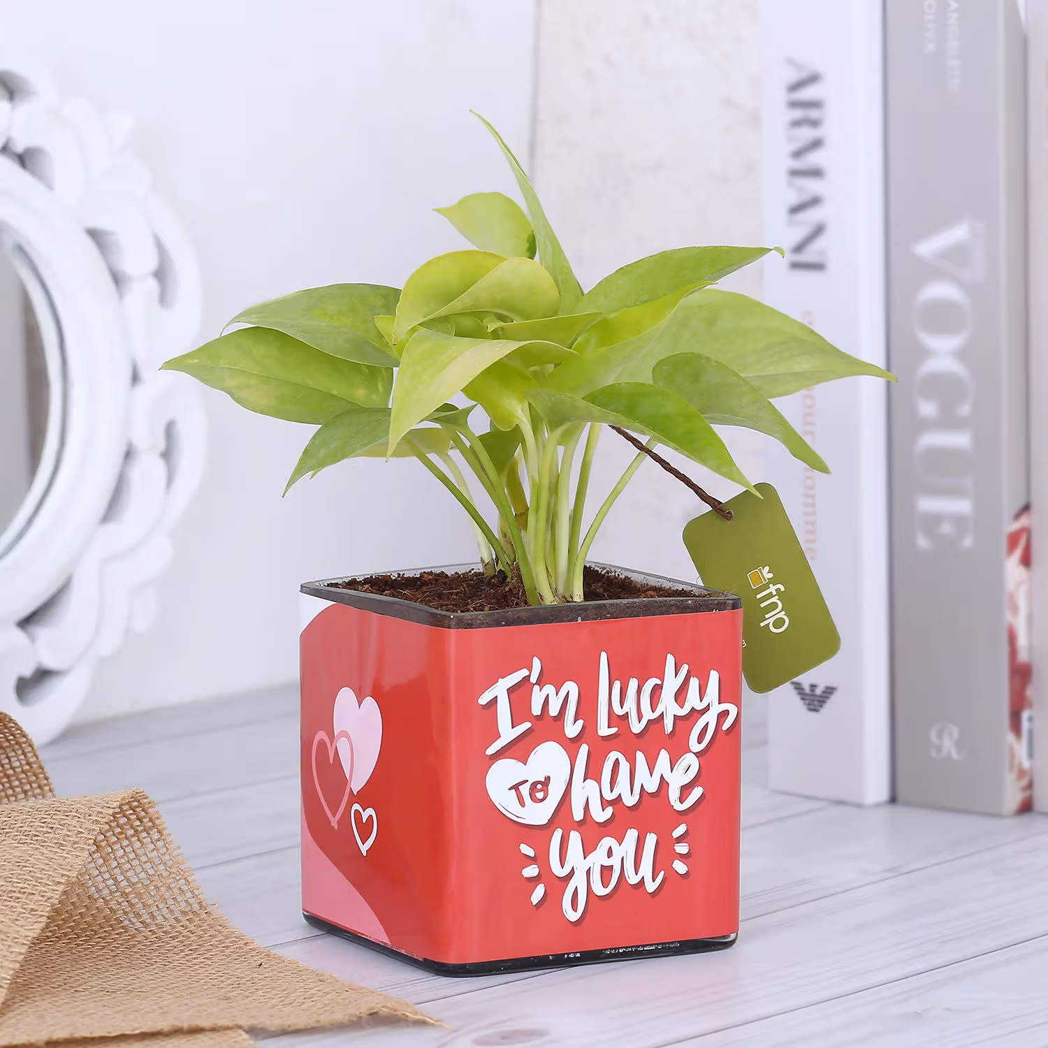 Money Plant In Lucky To Have You Glass Pot