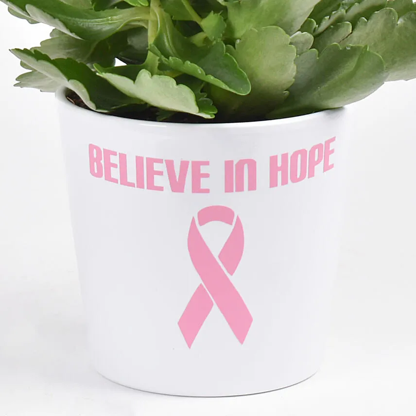 Believe In Hope Plant