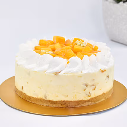Exquisite Mango Love Euphoria Cheesecake