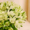 هدية تخرج مزهرية ورد زنابق بيضاء