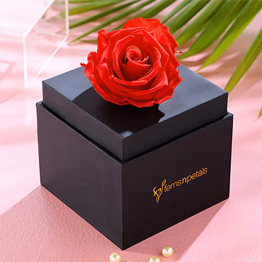 Forever Red Rose Box With Mini Mousse Cake For Valentines