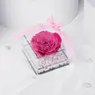 Elegant Pink Infinite Love Cube Box with Forever Rose