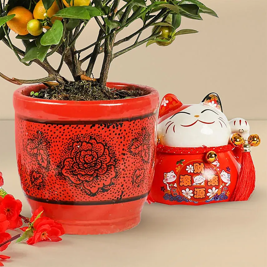 Orange Tree Pot