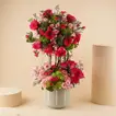 Opulent Pink Crown Flowers - Premium