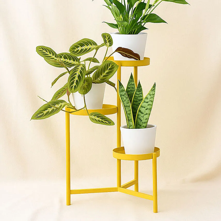 Luck and Peace Plant Stand