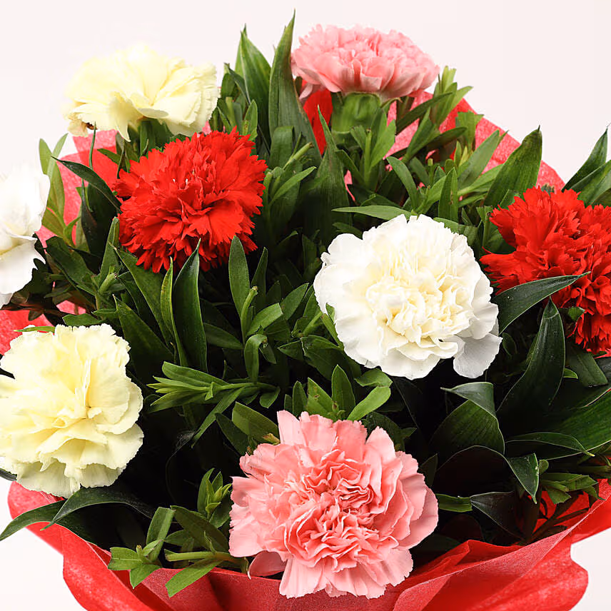 Mixed Carnations Bouquet with Green Fillers