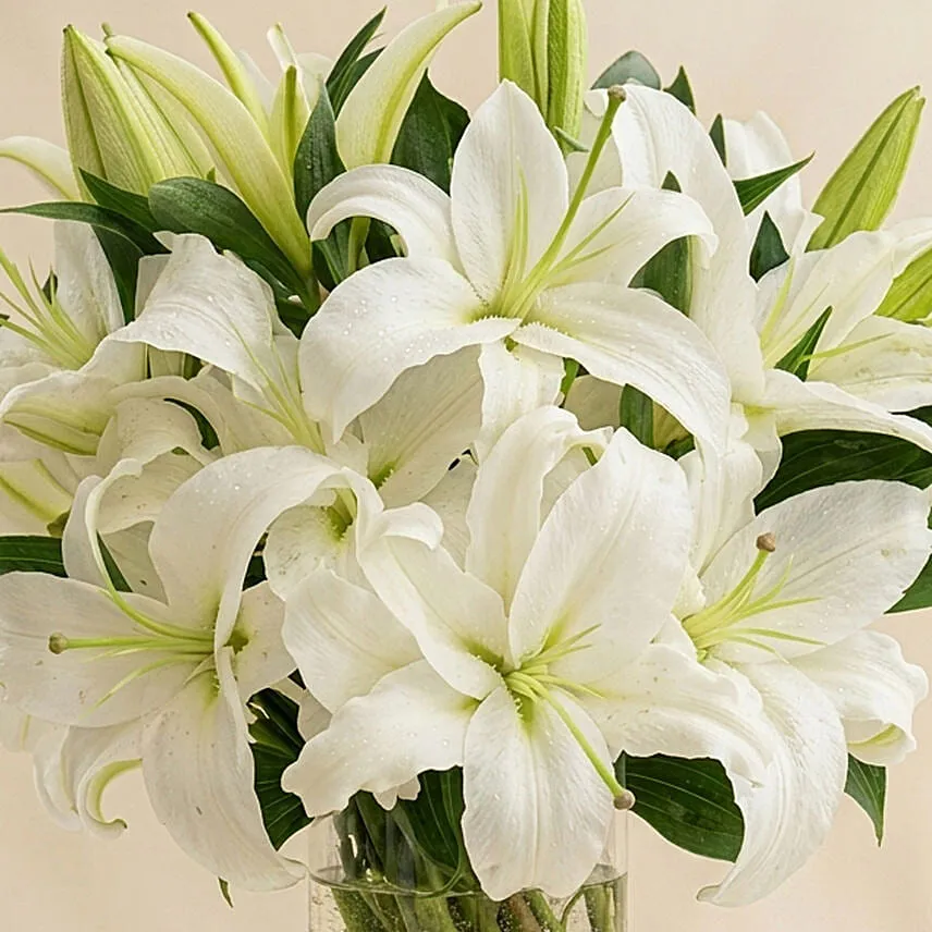 Serene Arranagement Of Lovely White Lilies