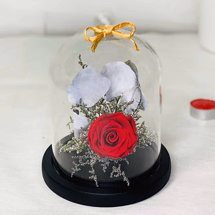 Single Red Forever Rose In Glass Dome for Valentines