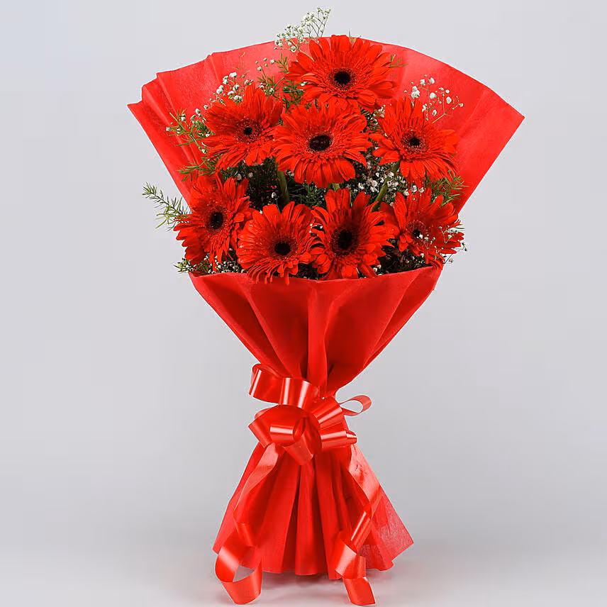 8 Red Elegance Gerbera Blossoms