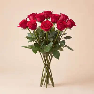 Elegant Bouquet of 10 Loose Red Rose Stems
