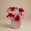 Elegant Valentine: Rose & Carnation Delight