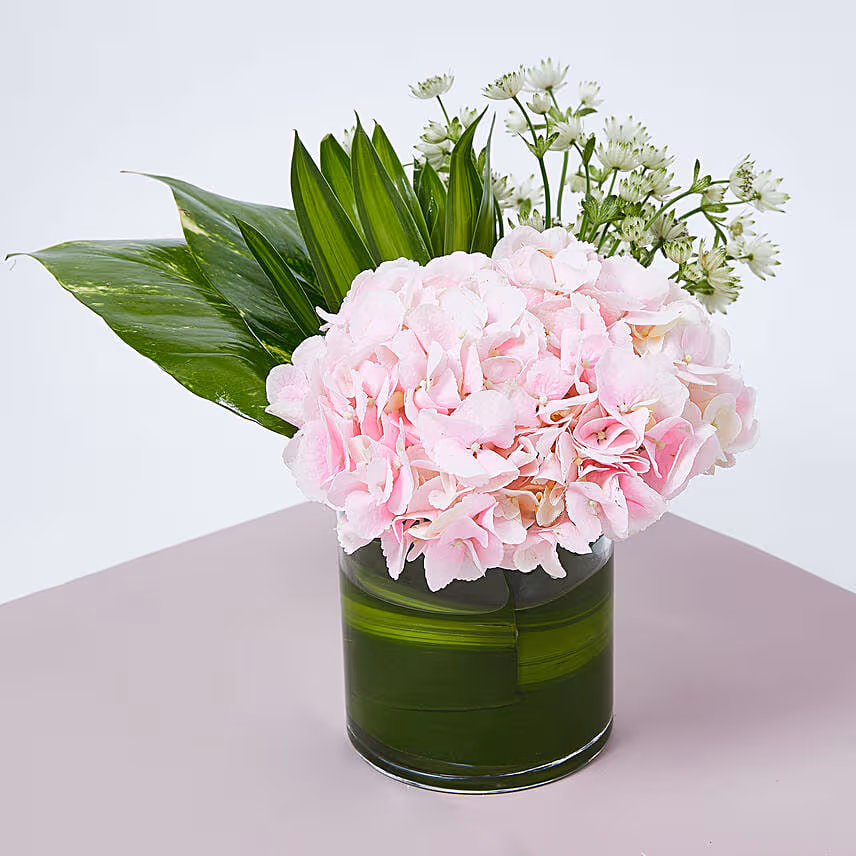 Pink Hydrengea In Vase