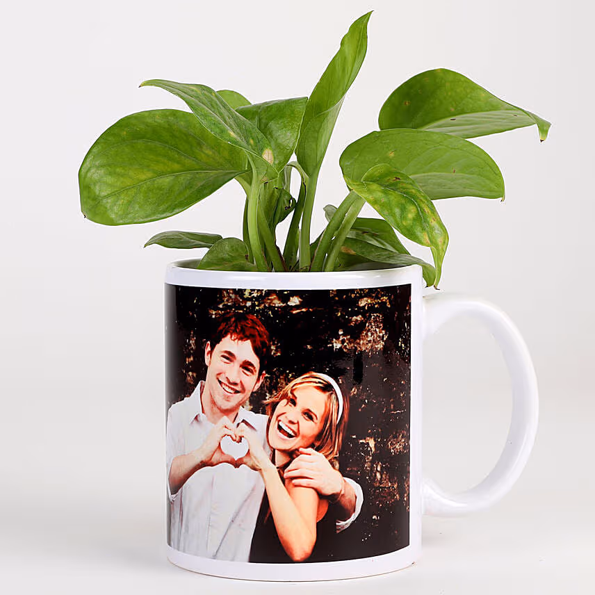 Picture Mug Money Plant & Ferrero Rocher