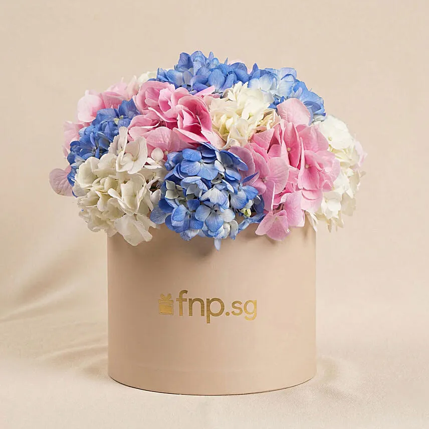 Hydrangeas Flower Box Arrangement