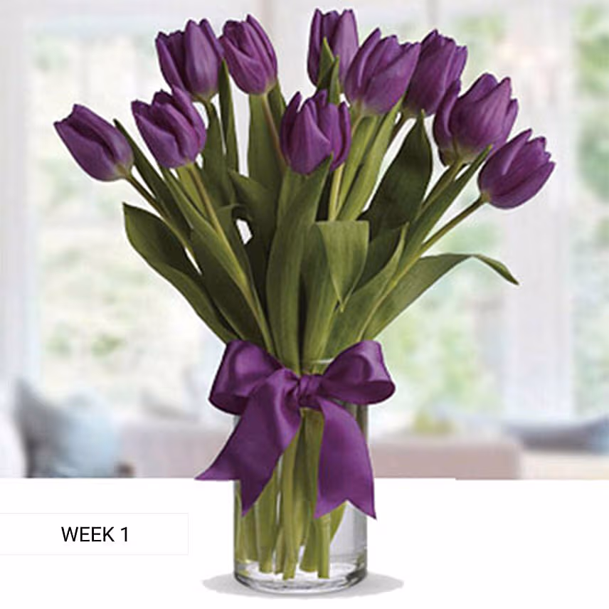 Charm Of Tulips