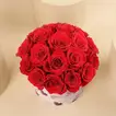 Romantic Red Roses in Heart-Printed Round Box for Valentine's Day - Arrangement