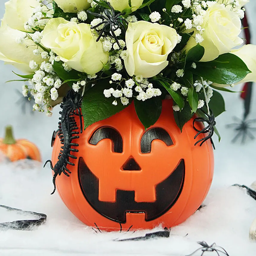 Roses and Spiders