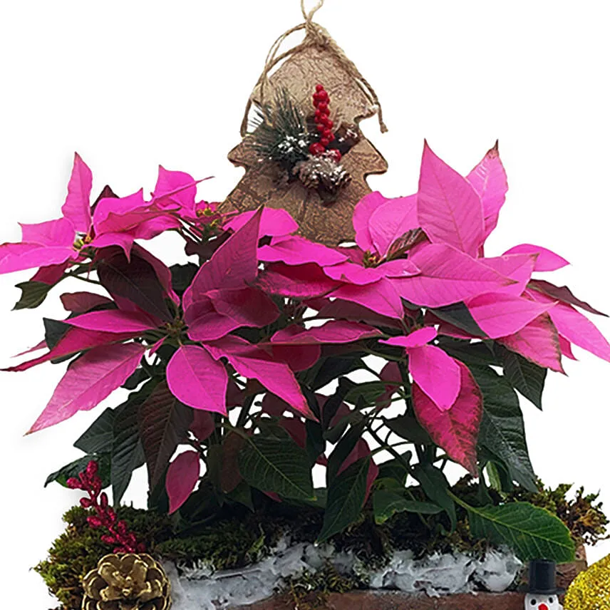 Pinkish Christmas