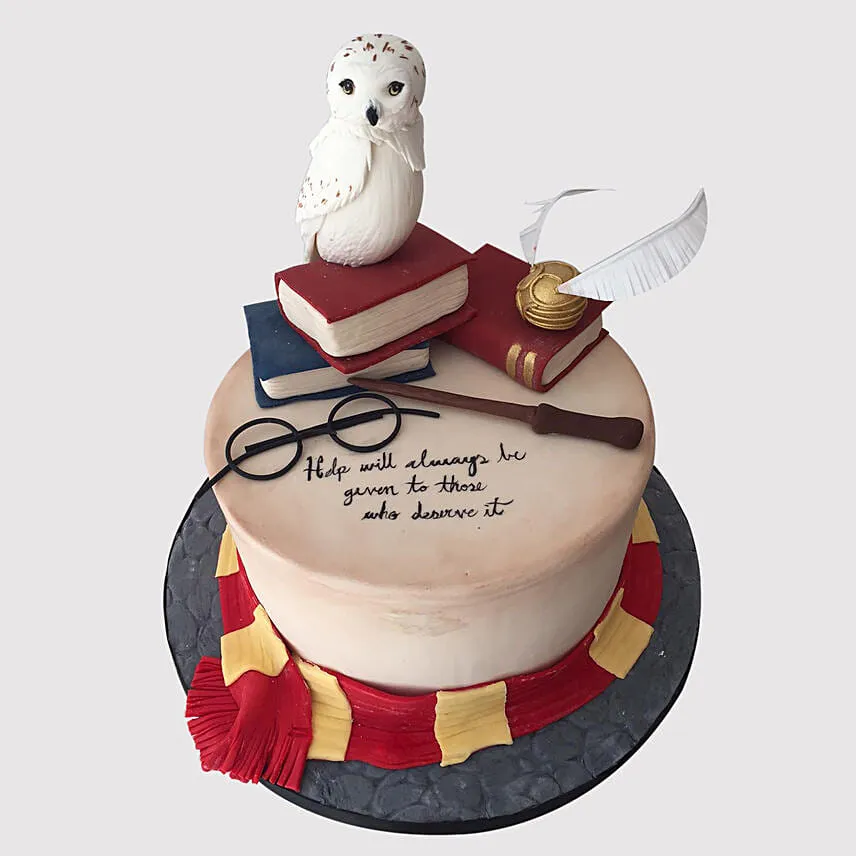 Hedwig The Snowy Owl Cake